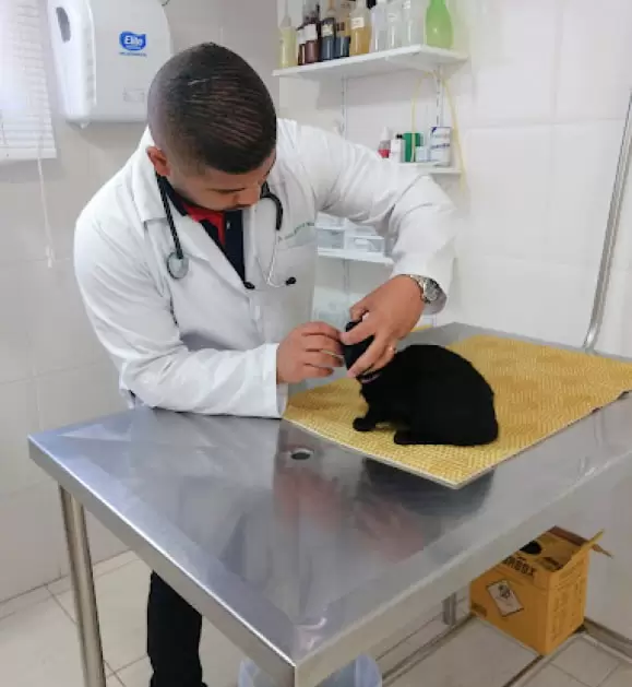 atendimento-clinica-veterinaria-itapema