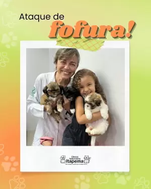 cachorros-paciente-veterinaria-itapema