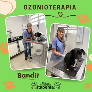 ozonioterapia-clinica-itapema