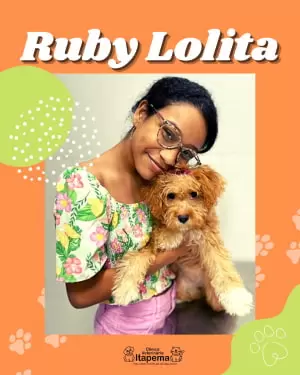 ruby-cachorra-paciente-veterinaria-itapema