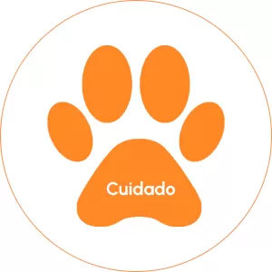 valor-cuidado-veterinaria-itapema